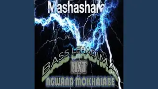 Bass Freaks