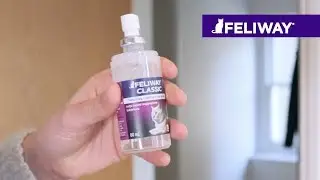 Como usar FELIWAY CLASSIC Spray