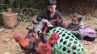 hai bố con đi mua gà về nuôi và mang hai con đi tham bé gái bị ốm và đưa bé về nhà@tutieutien1