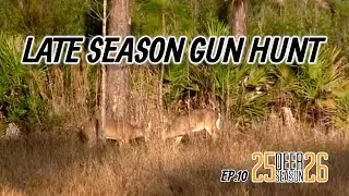 FLORIDA DEER HUNTING l Public Land Qouta l BUCKS SPOTTED!