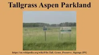 Tallgrass Aspen Parkland
