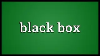 Black box Meaning