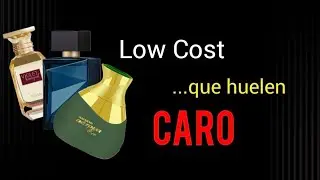 Perfumes BARATOS, que parecen ser M&Aacute;S CAROS...✅️✅️✅️