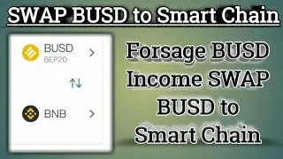 How can you SWAP (Forsage BUSD Income) BUSD to Smart Chain by Monuj kumar Dutta?