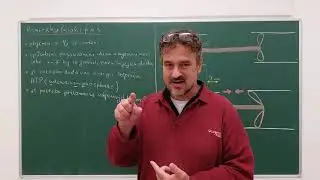 Myologie 02 - kontrakce myofibrily.