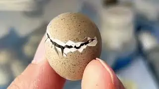 Home Quail Breeding | Quail laying Eggs | quail Farming