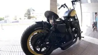 HARLEY DAVIDSON 1200 cc Customiser