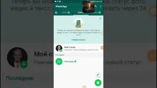 Как отключить автоматическое сохранение фото, видео, аудио и документов в WhatsApp (2018)