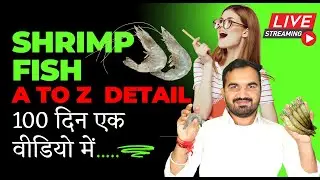 100 Days Time lapse video | Shrimp Farming Detail Video | Fish profitable farm | Prawn Fish