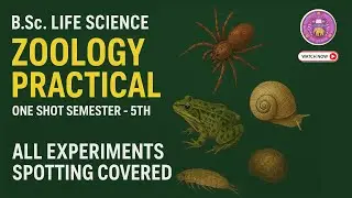 Zoology Practical ONE SHOT BSc Life Science Semester 5 Full Experiments/Spotting Covered Must Watch!