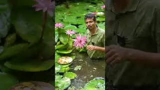 You Can Actually Eat Lotus Flowers! 🍽️🌺 #foodsurprise