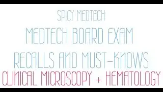 MedTech Board Exam Recalls and MUST-KNOWS: Clinical Microscopy + Hematology | SPICY MEDTECH