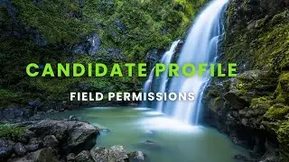 SAP SuccessFactors RCM Day 3 Part 2 Candidate Profile Field Permissions