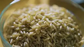 Rice 101