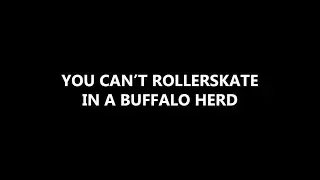 YOU CAN'T ROLLERSKATE IN A BUFFALO HERD