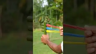Amazing Bamboo Slingshot Launcher | DIY Jungle Weapon Craft #BambooArt #Slingshot #DIYWeapon #shorts