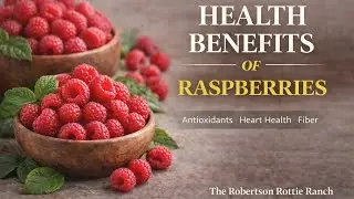 Raspberries: Small Berries with Big Health Benefits