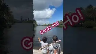 The Ala Wai Canal in Waikiki is filthy dirty! Genki Balls will help clean it | #genkiballs