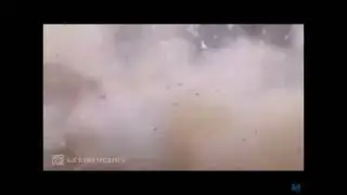 Funny subtle foreshadowing #explosion #memes #memepage #memesdaily #meme #memesvideo #memeshorts