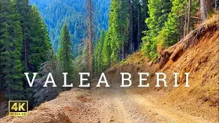 Carpathians: Ciucaș Mountains - Beer Valley - on 1st January 2024