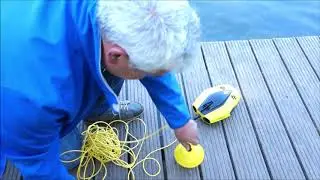 First Dive Chasing DORY