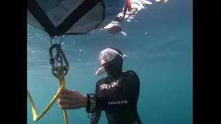 Fundives and Padi freediver course