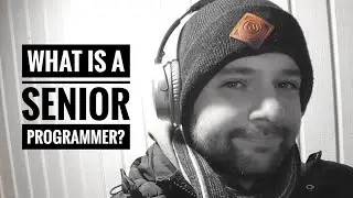What is a senior programmer?