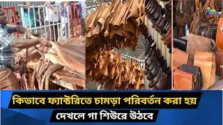 চামড়াতে রঙের কাজে ব্যস্ত শ্রমিকরা | Leather Processing in Hazaribagh for Global Export