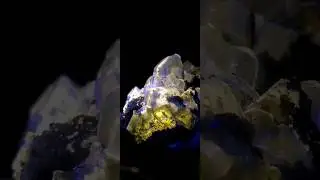 Apatite from Panasqueira Mine Portugal under  Med Wave UVB 310nm. Fluorescent Mineral.