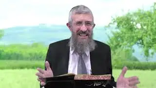 מסכת מנחות דף כג - 8 דקות של לומדות ועמקות בדרך הלימוד הישיבתית [Menachot 23]