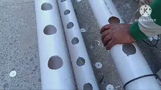 Creative Idea; How to make easy and cheap PVC pipe Grow vegetables stand! Easy Gardening Tutorials