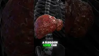5 Simple Natural Ways To Support Liver Health