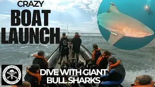 Surf launching South Africa to go dive with BIG Bull sharks