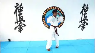 9th Kyu Syllabus. IFK Kyokushin Syllabus. Mauritius Branch