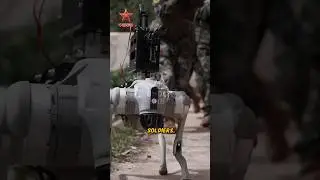 China&rsquo;s Robot Dog of the Future💯 #military #china #shorts