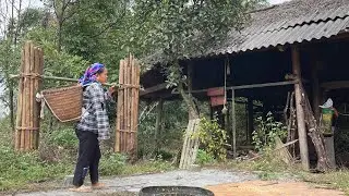 Lost in the Deep Forest: An Orphan Girl Finds an Abandoned House