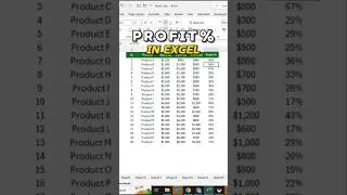 Calculate Profit % in Excel | Quick Formula