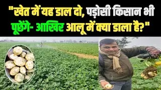 Aalu Mota Karne Ki Dava | आलू का साइज बढ़ाने की दवाई | आलू फटना रोकने की दवा |