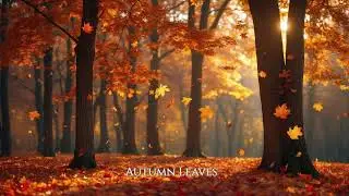 Autumn Leaves 🍂 Beautiful Piano Music | Fall Season Reflection | Piano For Your Soul
