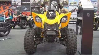 BRP Can-Am DS 250 (2019) Exterior and Interior