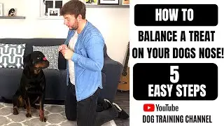 BALANCE A TREAT ON YOUR DOGS NOSE!