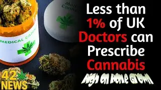 UK Medical Cannabis Crisis: Less Than 1% of Doctors Trained | 420 News #3
