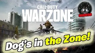 Call of Duty Warzone - File paging error