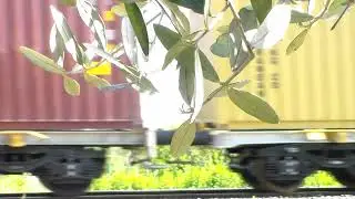 useless video 783