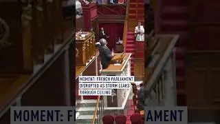 Moment: French Parliament disrupted as storm leaks through ceiling