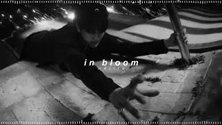 zerobaseone - in bloom ( 𝘀𝗽𝗲𝗱 𝘂𝗽 + 𝗿𝗲𝘃𝗲𝗿𝗯 )