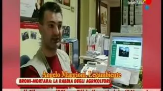 Telepavia Autostrada Broni-Mortara : parola agli agricoltori - 1
