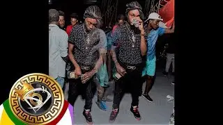 King Mongrel -  Commercial Badness