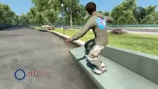 Skate team took trip to nyc maloof