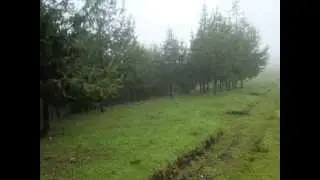 Mount Loleza, Mbeya tour